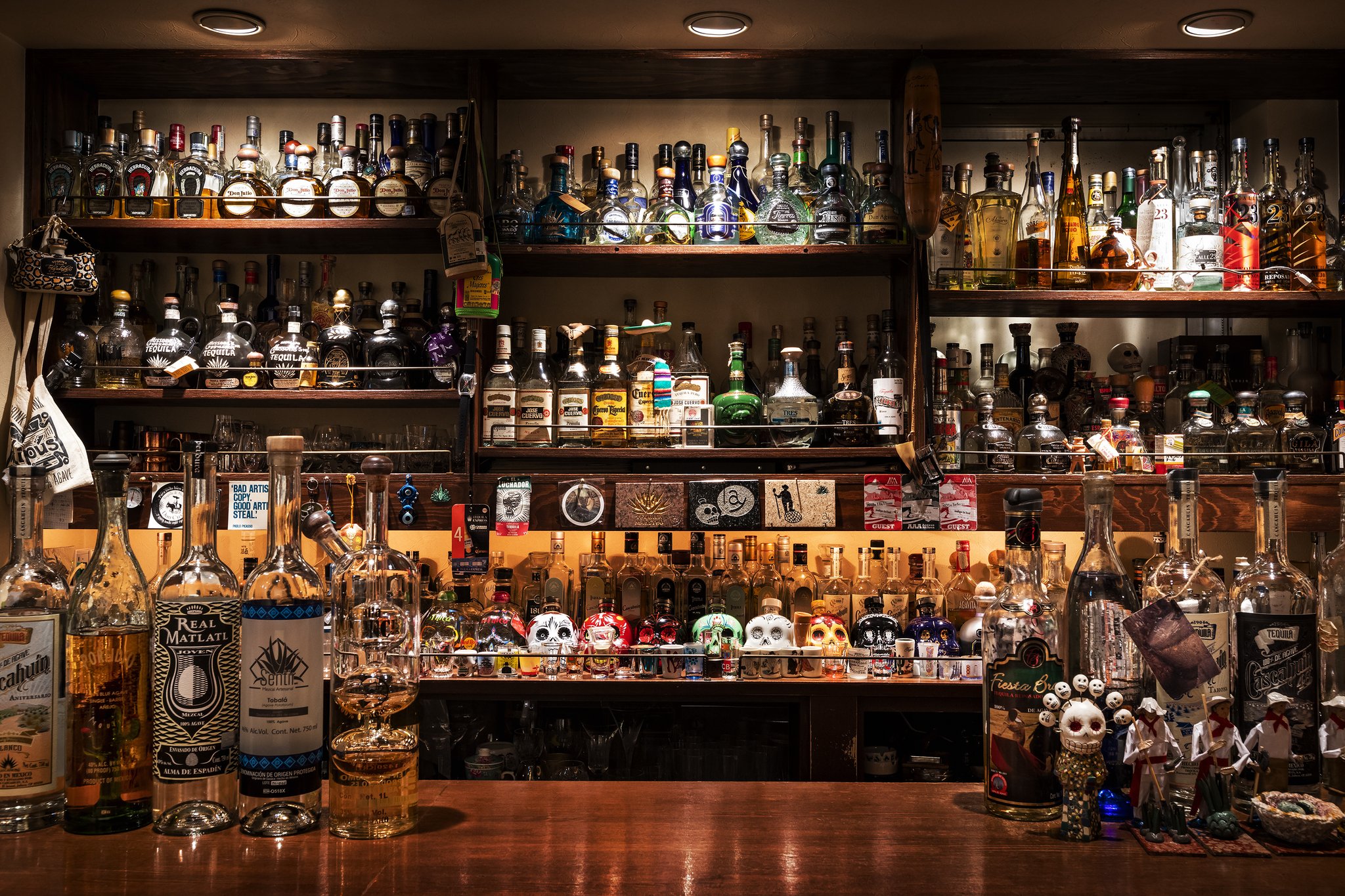 テキーラが飲めるバー・レストラン特集