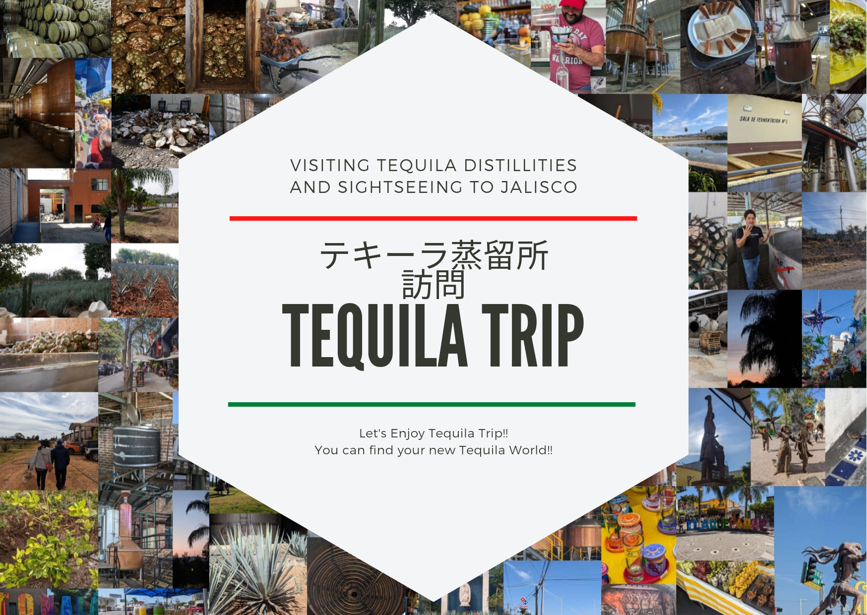 tequila trip